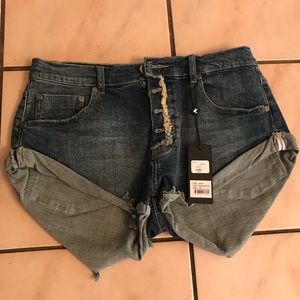 One x One Teaspoon Shorts